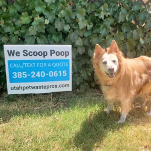 poop scoop sign