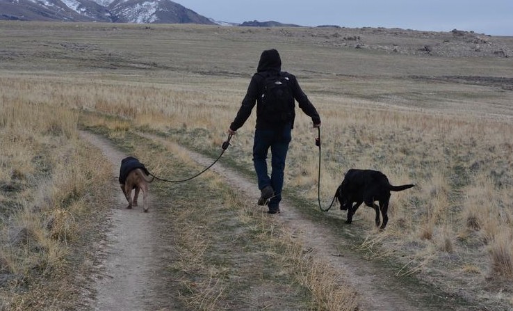 antelope island
