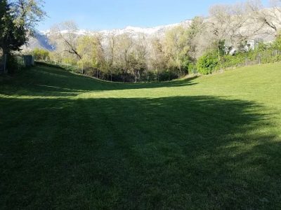 north ogden dog park